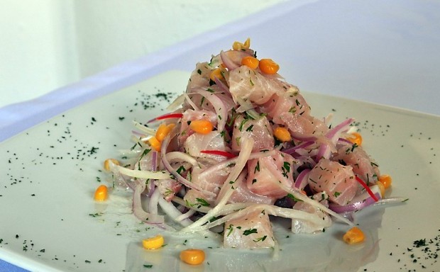 Platos Fuente cartagenacaribe com8